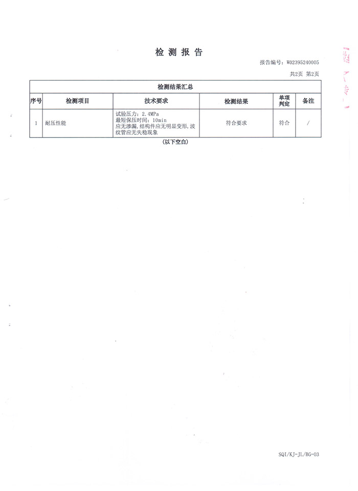 波纹膨胀节检测报告